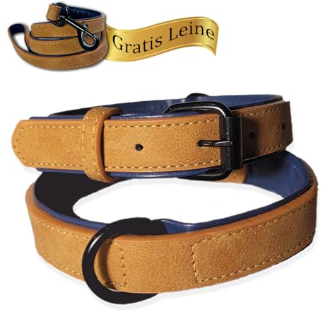 LUCON Hundehalsband Leder braun Halsband für Welpen und kleine Hunde mit einem Halsumfang von 27-37cm Lederhalsband gepolstert mit Metallschnalle