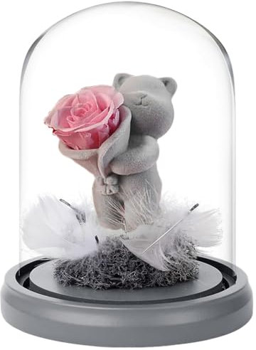 Aublinto Ewige Rose Bär im Glas Geschenke für Frauen Geburtstagsgeschenk Rose Blume zum Valentinstag Frauen Rosen Bär Freundin Frau am Muttertag Geburtstag Valentinstag Jahrestag