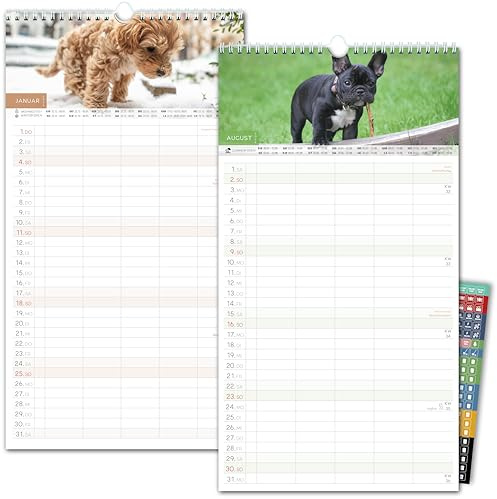 Familienkalender 2026 5 Spalten HUNDE Familienplaner 2026 mit STICKER Urlaub Recycling Ferien Wandplaner 2026 Wandkalender 23 x 43cm inkl. Okt-Dez 2025, Pflanzkalender, süße Welpen Dogs Hund