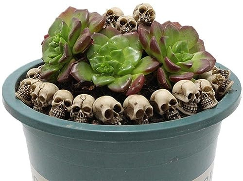 Agwuoetr 40 Piece Simulation Skull Model Toys Halloween Decoration Funny Model Toys Collection