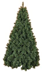 Tarrington House künstlicher Weihnachtsbaum, PVC Tannenbaum mit 1248 grünen Spitzen, Ø 140 x 210 cm, grün
