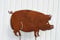 Gartenfigur Schwein 36x60cm Gartenstecker Edelrost Gartendeko Wetterfest Rost Metall Rostfigur Figur Tier Hausschwein von Steinfigurenwelt