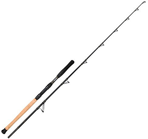 Spro Big Waller Spin 200 2,70m 80 200g 2 teilig