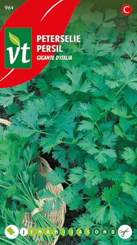 Petersiliensamen Gigante aus Italien - Intensives Aroma für die Gourmet-Küche.