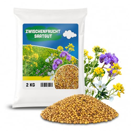 ARPON Zwischenfruchtmischung| Samen Mischung: weißer Senf, Ölrettich, Phaceliablau| Gründüngung mischung 2kg für 800m²| Gründüngungsmischung