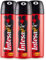 Intesa Unisex Ambra D'Arabia Sex Unisex Deodorant 125 ml (3)