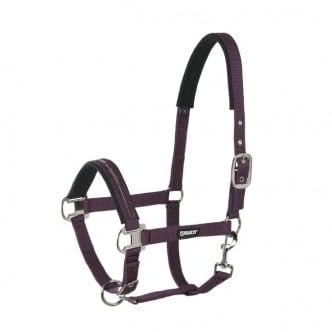 Standard Halfter PIN BUCKLE