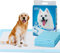 Nobleza -Ultra saugfähige Hunde Trainingsunterlagen Welpenunterlage Welpen Toilettenmatte, 90 * 80cm, Packung mit 10 Stück