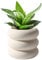 Vaso per piante in ceramica per interni, vaso da fiori beige da 10,5 cm con foro di drenaggio, piccola fioriera in ceramica traspirante per decorazioni per casa e ufficio
