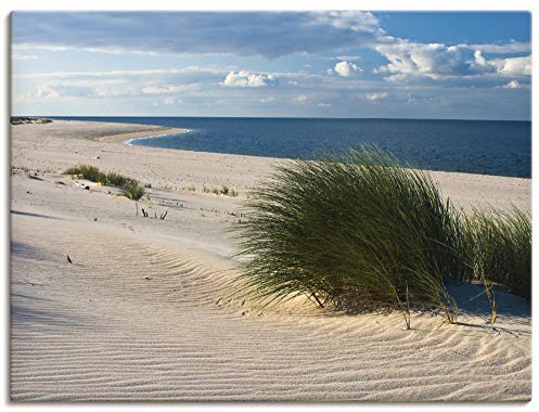 ARTLAND Wanddeko Leinwand Bilder Wandbild Strand Meer Düne Küste Gräser Nordsee Maritim T5TV