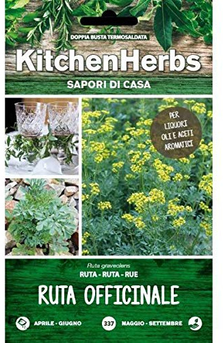 Semi Dotto Ruta Officinale