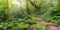 MIRRORANG 120x50cm Terrarium Hintergrund Tropisches Aquarium Hintergrund Grün Riesiger Baum Sonnenschein Stein Weg Regenwald Reptil Lebensraum Hintergrund Vinyl
