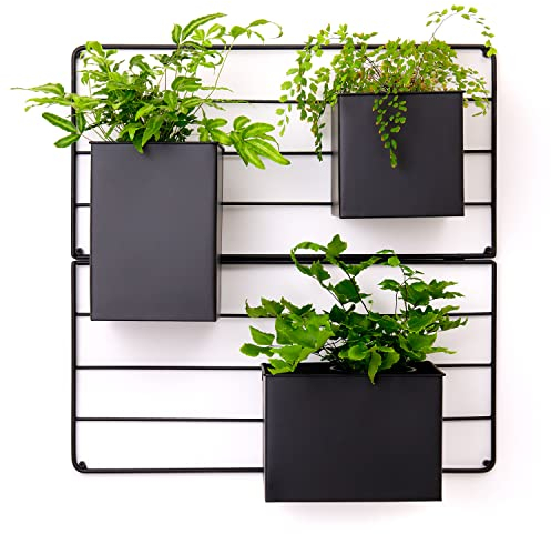 KASSELL Vertical Garden Wall Planter. Wall Mounted for Indoor Outdoor. All Metal Black Vertical Planter with No Assembly Required. Planter for Indoor Plants Flowers, Herbs, Succulents and Plants