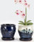 Vasi per orchidee in ceramica da 10 cm, con fori e piattini, 2 piccoli vasi per piante grasse per rinvaso, vasi da giardino per piante interne ed esterne, favoriscono la circolazione dell'aria (blu,
