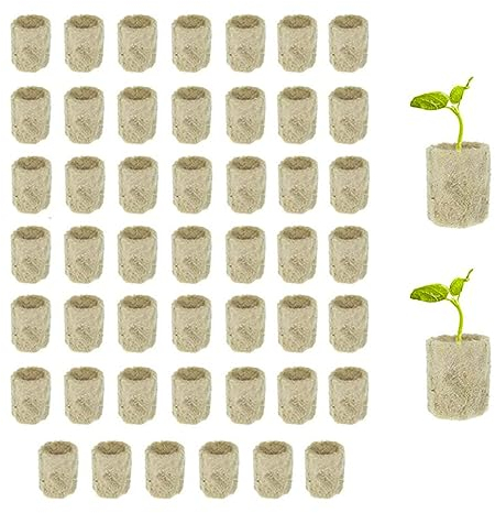 50 Stück Steinwolle Würfel, Steinwolle Anzuchtwürfel, Rockwool Cube, Steinwolle Cube Hydroponic, Sämling Steinwolle, Steinwolle Plugs, für Aussaat, Pflanzung, Hydroponischen Anbau