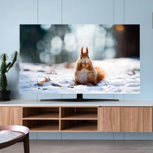 FUELIX Schutzhülle Fernseher Outdoor TV-Abdeckung Staubschutztuch 32-80 Zoll Haushalt Hängender Desktop Gebogener TV Universal Für Flache/Gekrümmte TV-Bildschirme E,37-39in