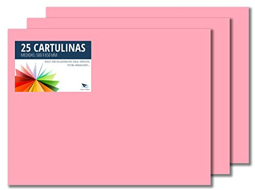 RAYLU PAPER – Tonpapier 50 x 65 cm, 25 Stück Kartonpapier 180g/m², 210 x 297 mm, professionelle farbige Kartons für Büro, Kopierpapier, Buntes Papier zum Basteln (Rosa)