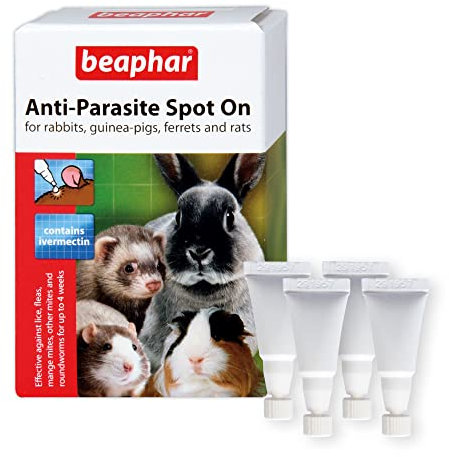 Beaphar - Anti-Parasite Spot-On for Rabbits, Guinea Pigs, Ferrets & Rats - Kills Lice, Mange Mites, Other Mites, Roundworms and Fleas – Veterinary Medicine - For Small Animals over 300g - 4 pipettes