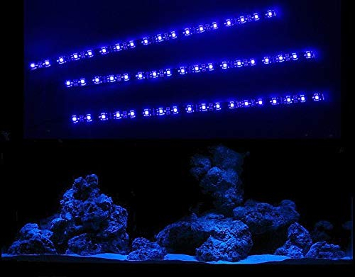 creative lights - Licht & Design AQUARIUM MONDLICHT 3 x 30 CM LED LICHTLEISTE KOMPLETTSET INKL. NETZTEIL FLEXI-SLIM BLAU