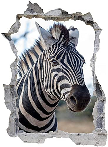 Wandtattoo Wandsticker Wandaufkleber 3D-Effekt Durchbruch Zebra für Babyzimmer Kinderzimmer 60x90cm