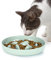 PETTOM Anti Schling Napf für Katzen und Kleine Hunde, Slow Feeder Katze rutschfest, Langsam Fressen Hund mit Hoher Kante gegen Herausfallen (16 * 16cm, Grün)