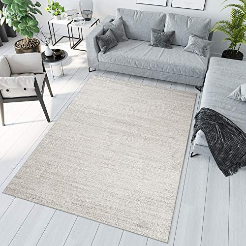 TAPISO Sari Teppich Kurzflor Teppiche Creme Hellgrau Modern Design Meliert Verwischt Wohnzimmer Schlafzimmer ÖKOTEX 300 x 400 cm