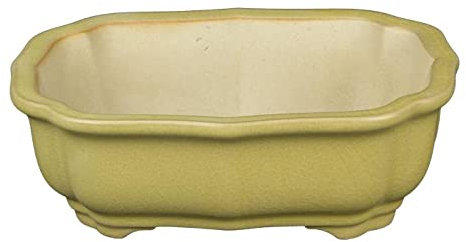 Geosism & Nature Pot à bonsaï Ovale en grès émaillé Jaune Moutarde 14x9,5x4,5 cm - A30