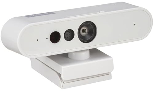 Lenovo Cámara Web FHD 510 (Reconocimiento Facial, 1080p, Micrófonos Dobles Integrados) - Gris Nube