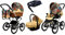 BabyLux Kinderwagen 4in1 mit Autositz für Kleinkinder – Kinderwagen für Neugeborene und Kleinkinder –– Baby Neugeborenen Kinderwagen – ISOFIX Autositzbasis – Max 15kg – Jungle Flowers Silver Frame