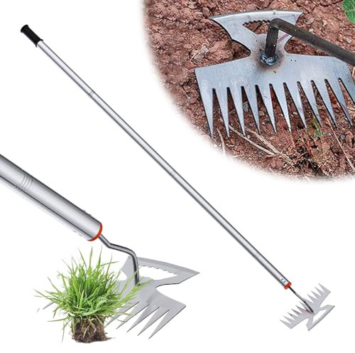 Outil de désherbage avec long manche, 2 en 1, outil de désherbage, râteau de mauvaises herbes avec 11 dents, outils de jardinage pour plantation, désherbage, desserrage, déracinement (11 dents)