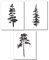 Din A4 Kunstdruck ungerahmt 3er Set - Kiefer Tanne Pinie Aquarell Minimalismus Natur Baum Druck Poster Bild