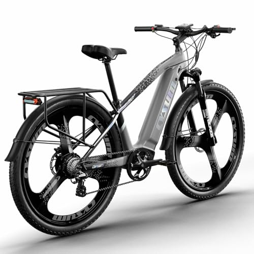 PRASHANT Speedy Mountainbike 29 Zoll MTB Fahrrad für Erwachsene Mann Frau, Pendler City Fahrrad mit hydraulischer Scheibenbremse (grau-1)