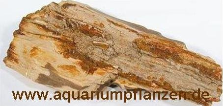 ca. 1 kg versteinertes Holz, Deko, Aquarium