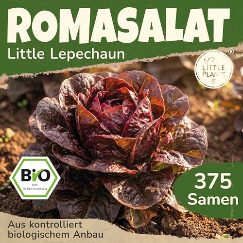 Little Plants BIO Romanasalat Samen 250 Salatsamen Little Leprechaun Römersalat Gemüsesamen Gemüsesaatgut Samenfest für Gemüsegarten, Hochbeet, Küche, Balkon und Garten