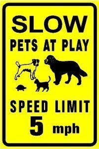 Panneau d'avertissement limitant la vitesse 5 MPH Slow Down Pets at Play Chien Chat Tortue Animal Panneau de signalisation routière 30,5 x 20,3 cm