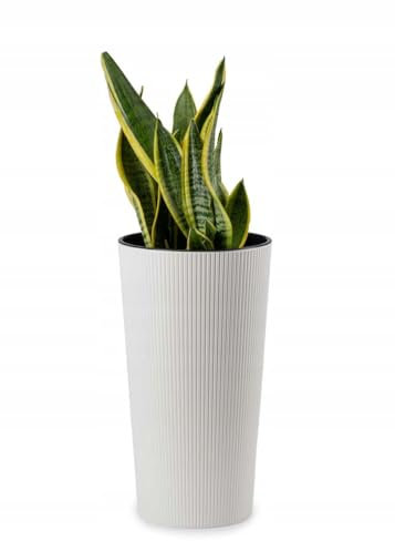 HowHomely Blumentopf Gross Hoch 47 cm mit Pflanzkübel Einsatz 26 cm Durchmesser - Weiß Pflanzkübel Groß aus Kunststoff für Deko Wohnzimmer Garten oder Terrasse