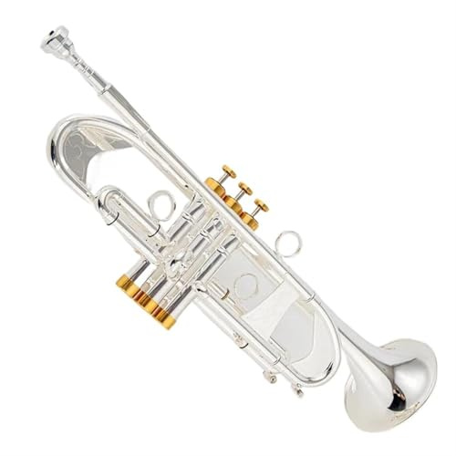 Standard Trompeten Bb Kleine Trompete Silber Professionelle Musikinstrumente Messing Langlebiges Anfänger-Trompeteninstrument