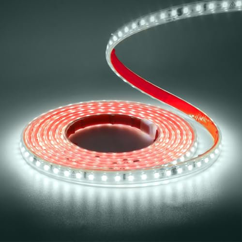 Wisada Striscia LED 220V SMD 2835, 120 LEDs/m, IP65 Impermeabile, Striscia LED Flessibile per Lucernario Soggiorno Decorazione Cucina (Bianco (6000-6500K), 5M)