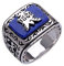 The Vampire Diaries Jeremy Resurrection Ring Elena Punk-Ring Qualität Modeschmuck Einzelhandel neues Design (10)