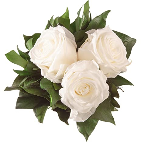 Rosemarie Schulz Blumenstrauss konserviert mit 3 Rosen (Weiss)
