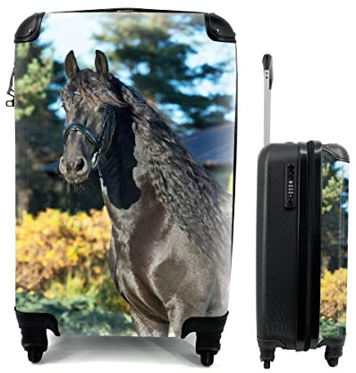 MuchoWow© Koffer Handgepäck Trolley Rollkoffer Kleine Reisekoffer mit 4 Rollen - Sonne - Friesisch - Pferd - Cabin Size < 55x40x23 & 55x40x20 cm - Fotokoffer - Kabinenkoffer - Boardgepäck