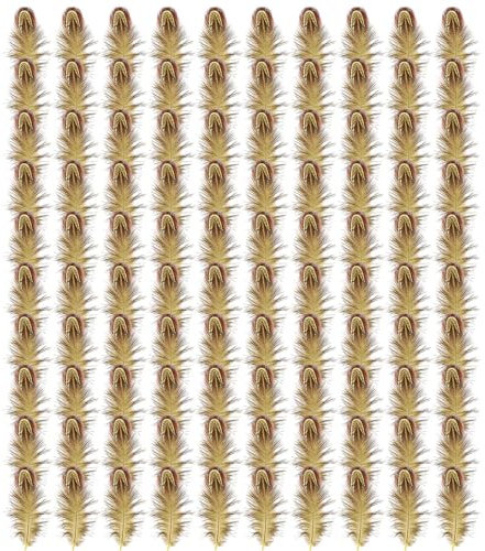 Hsthe Sea 100 Stück gelbe Federn für Bastelarbeiten, Hochzeiten, Zuhause, Party Dekorationen, 4–8 cm, natürliche Fasanen Gefiederfedern, Bastelfedern