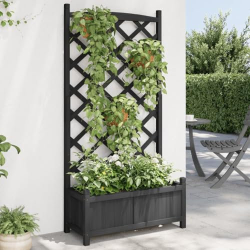 Home & Garden,Lawn & Garden,Gardening,Pots & Planters,Planter with Trellis Black Solid Wood Fir