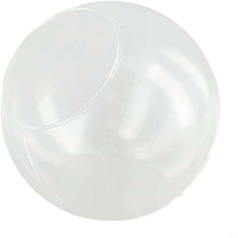 Jarrón de cristal para plantas suculentas con boca abierta para terrario y macetas, vidrio de borosilicato transparente adecuado para uso decorativo en jardines y tiendas (C)