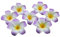 12 PCS Femmes Filles 2.4 Hawaiian Hawaii Plumeria Mousse Fleur Pinces À Cheveux Pour Nuptiale Nuptiale Plage Décoration Cheveux Barrette (Violet)