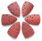 Lot de 40 feuilles abrasives Bond - Grain 8 assortis - Pour ponceuse Bosch PSM 100A - Grain mixte