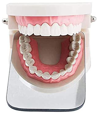 UZIAH Dental Spiegel Intraoralspiegel Fotografie Mundspiegel Okklusalreflektor Dental Intraoraler Fotoreflektor Aus Beschichtetem Glas Für Klinikzahnärzte
