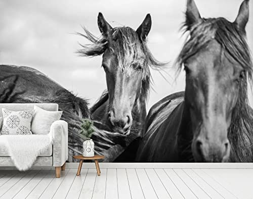 Papier Peint panoramique 3D Noir et Blanc Animal Cheval Papier Peint Mural, 396 * 280cm pour Salon Chambre d'enfants restaurant Décoration Murale