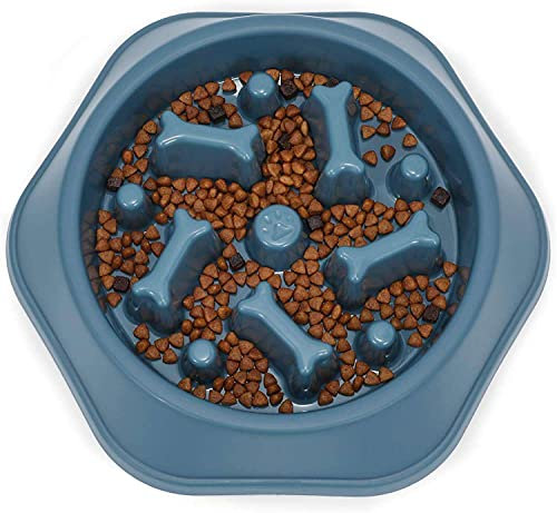 Slow Feed Dog Bowl | No Gulp Puppy Feeding | Pet Anti Bloat Cat Interactive Feeding Dish | Dog Puzzle
