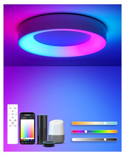 Matane Smart RGB 24W Dimmable LED Ceiling Light with Remote Control 11 inch | Round Ceiling Lamp Indoor Work with APP, Alexa, Google Assistant, 3000-6500K for Bedroom, Kids Room, Living Room, Kitchen